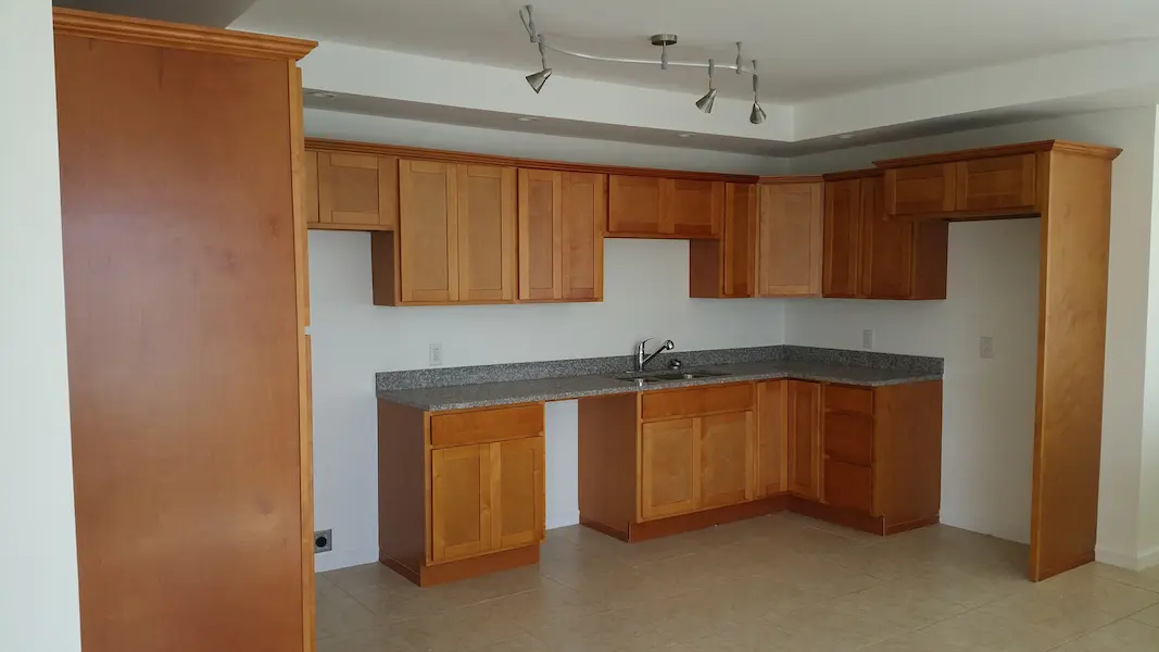 Kitchen with wood cabinetry