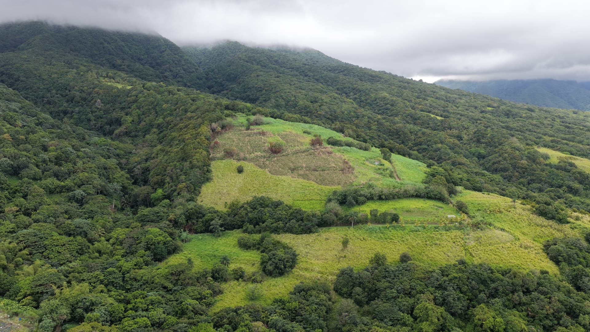Open hillside land beneath the mountain