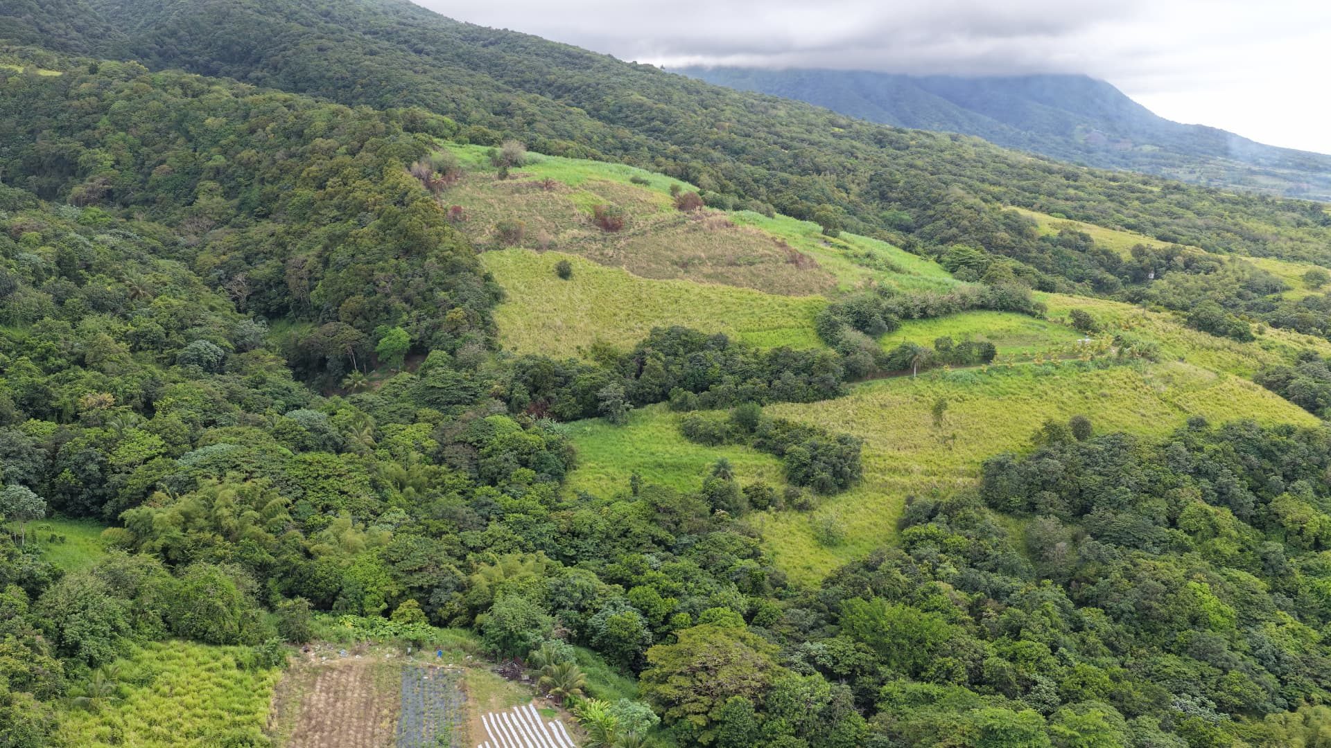 Green slopes of the Green Hill Estate parcel