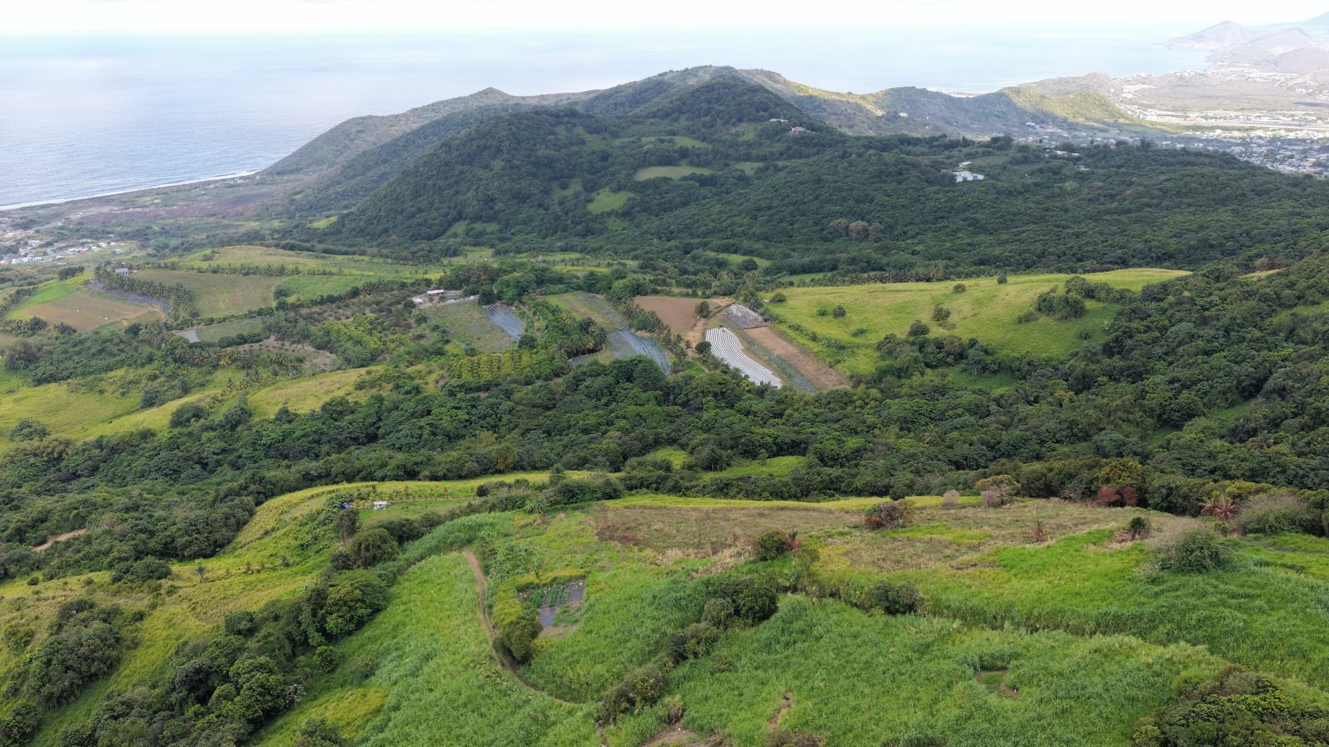 Estate land with views toward the coast