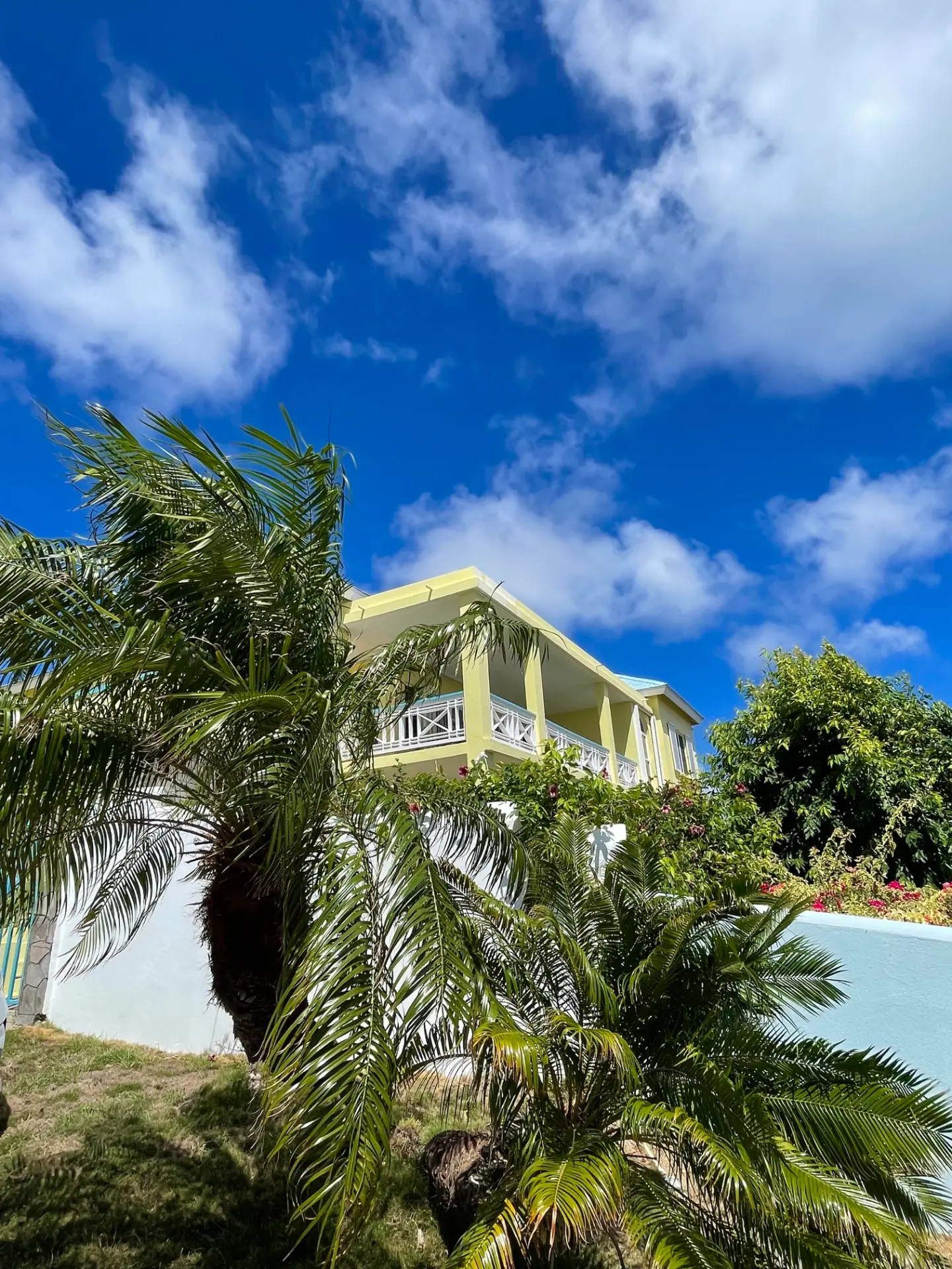 Upper balcony framed by palms